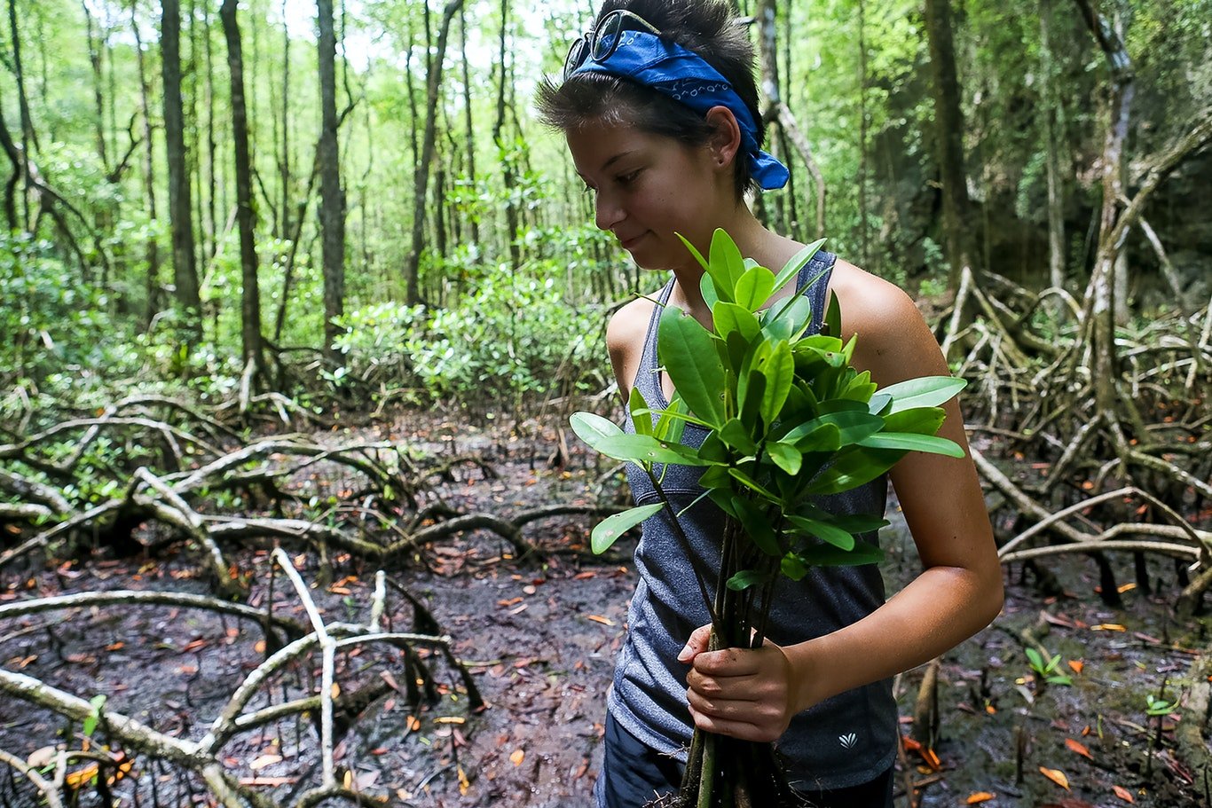 Mangroves Reforestation in Los Haitises With Locals on Kayak – Bild 26