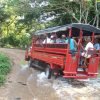 Samana Whales Tour with Bacardi Island and Limon Waterfall - Image 26