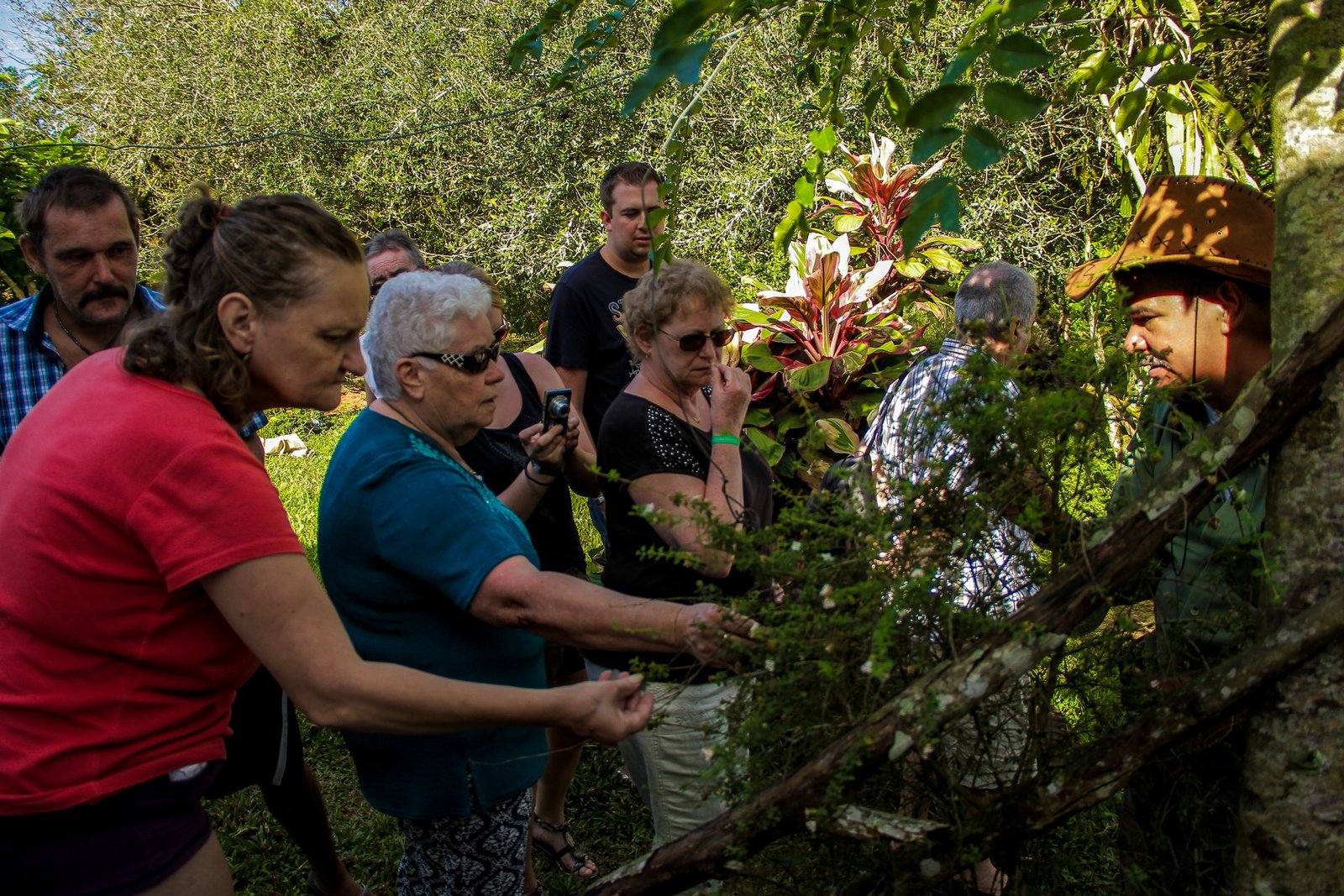 Live the Jungle in Los Haitises Waterfalls Yanigua - Image 4