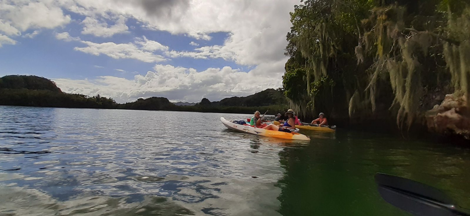 Los Haitises Sunrise or Sunset Private Kayak Excursion with Locals – Bild 14
