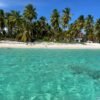 Saona Island: Small Group Virgin Beaches Cruise Day Trip - Image 3