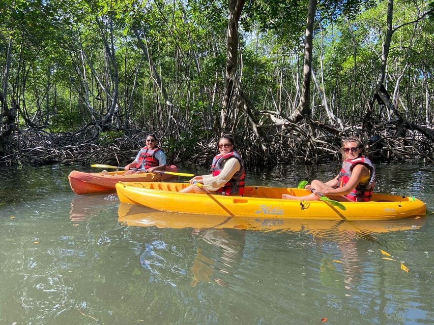 Los Haitises All One: Kayaking, Hiking, Boat, and Swimming - Image 3