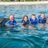 ⁦Puerto Plata: Ocean World Adventure Park Swim with Dolphins⁩ - الصورة ⁦3⁩