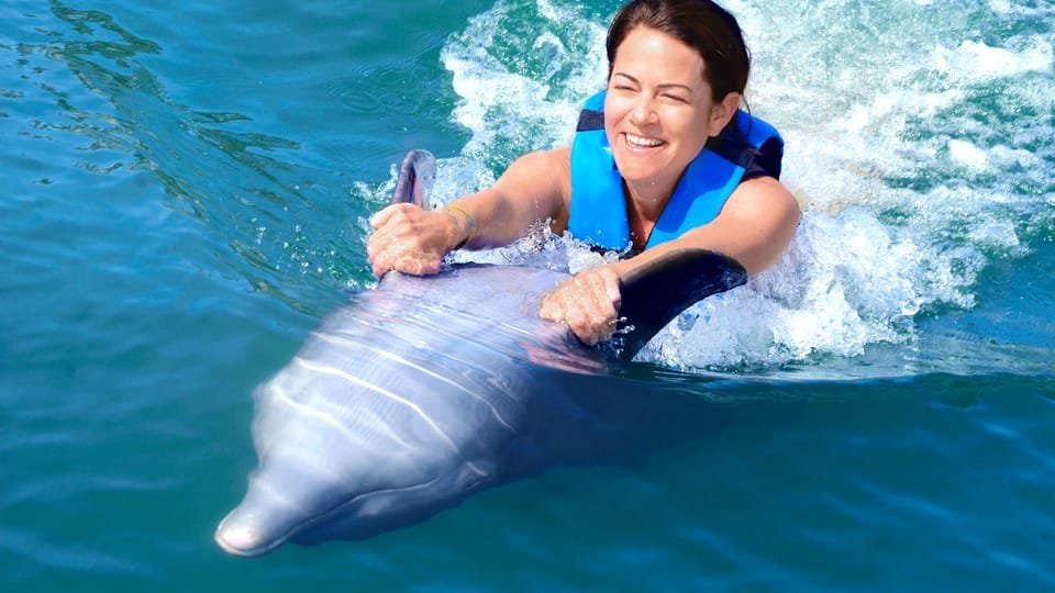 Punta Cana: Dolphin Discovery Swims and Encounters – תמונה 23