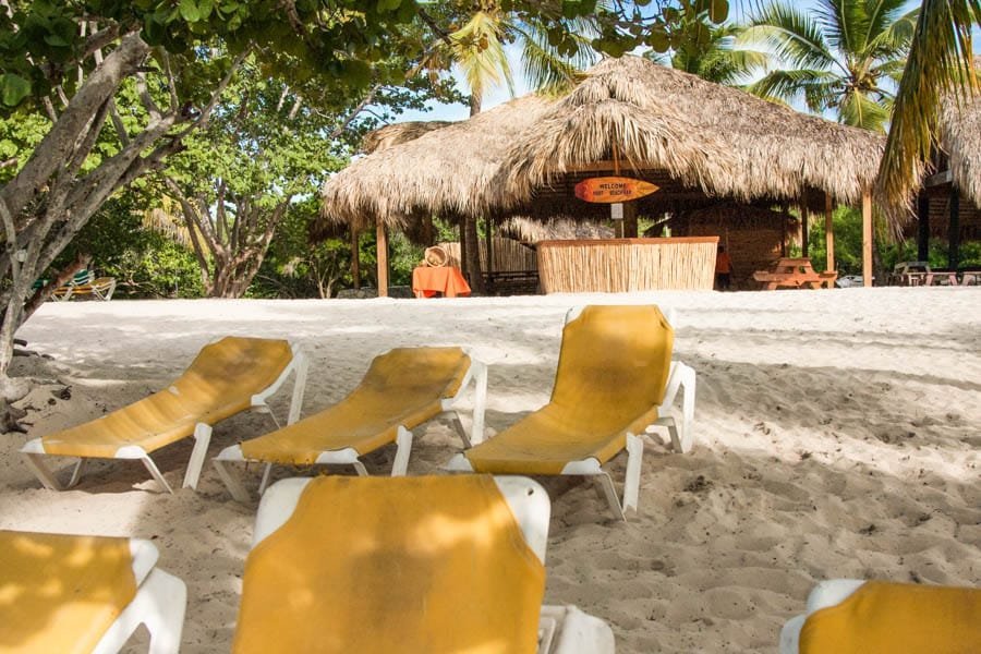 Punta Cana: Full-Day Snorkeling Tour to Catalina Island - Image 20