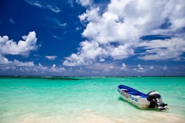 Punta Cana: Speedboat and Snorkeling Adventure with …