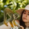⁦Monkeyland tour + Transportation from cruise/hotel⁩ - الصورة ⁦2⁩