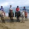 Puerto Plata: Horseback Riding on the Beach – Image 5