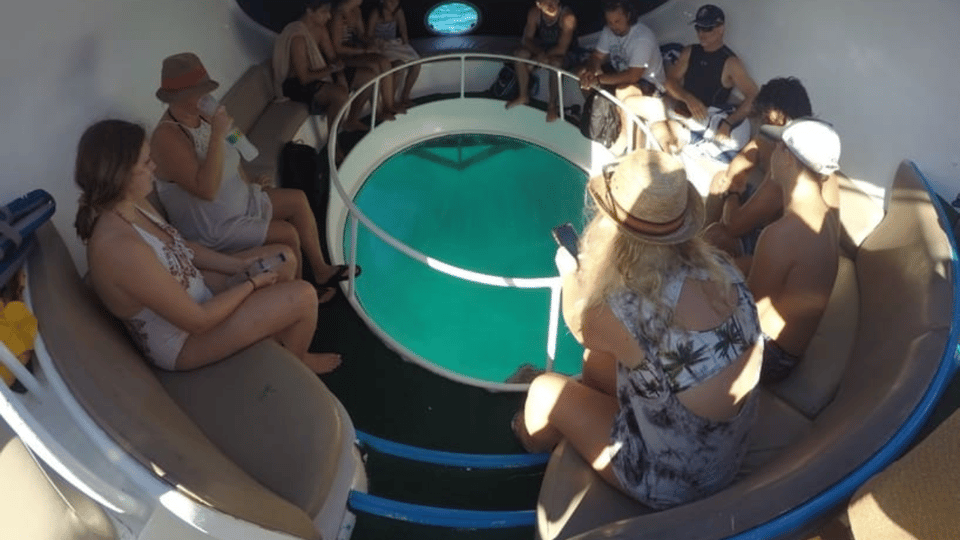 Punta Cana: Scubadoo Explore The Ocean - Imatge 5