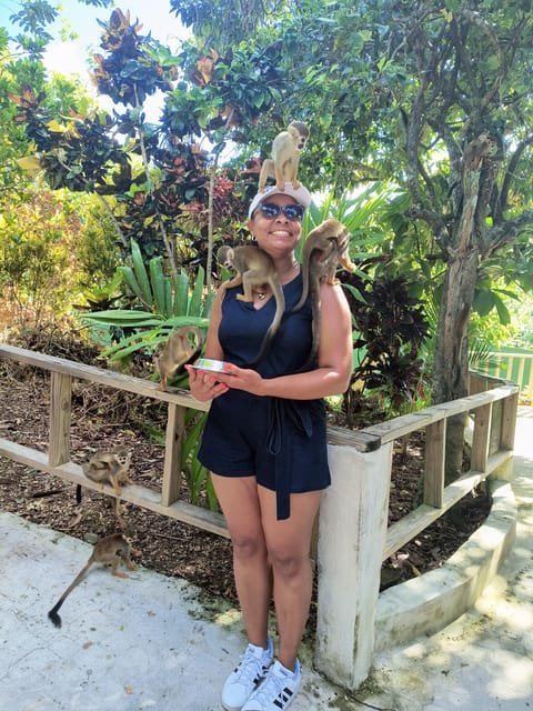 Monkeyland experience + Lunch and transportation