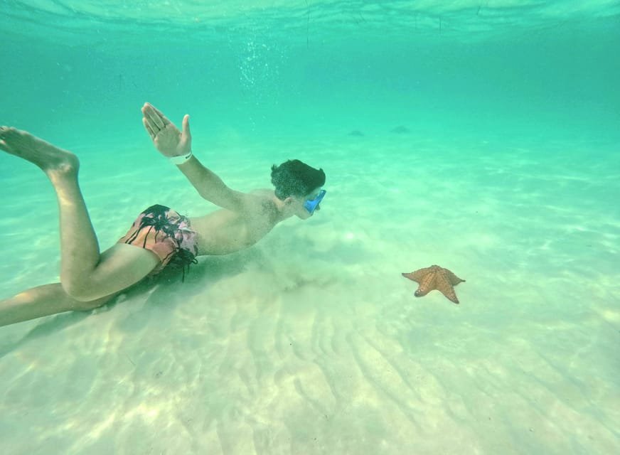 Pivate boat Saona Island Day Trip with Snorkeling and Lunch - Image 3