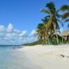 ⁦From Santo Domingo: Isla Saona Full-Day Tour with Lunch⁩ - الصورة ⁦2⁩