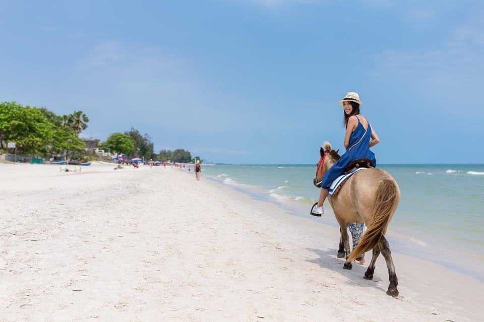 Punta Cana: Horseback Riding Through the Beautiful Beaches - Image 5