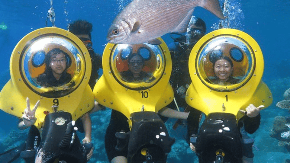 Punta Cana: Scubadoo Explore The Ocean - Imatge 6