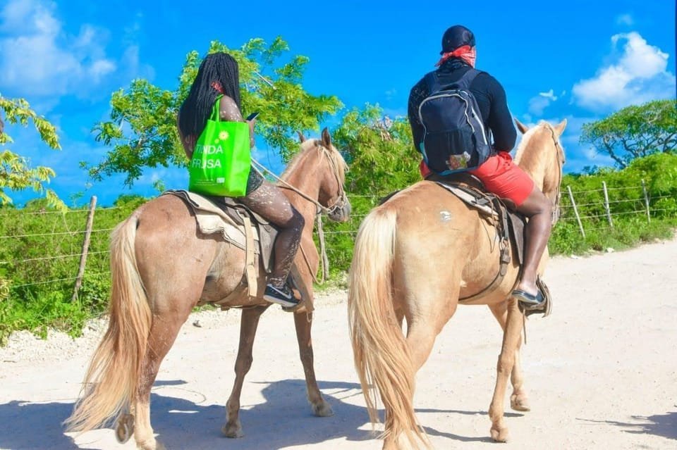 Punta Cana: Half-Day ATV or Buggy and Horseback Riding - Image 7