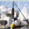 4 Hour Deep Sea Fishing Experience From Punta Cana - Imatge 7