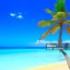 Punta Cana: Saona Island Cruise with Lunch & Open Bar – Image 8