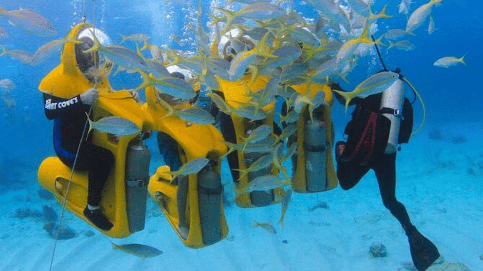 Punta Cana: Scubadoo Explore The Ocean - Imatge 9