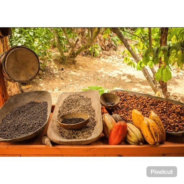 From Bavaro: Half-Day Buggy Tour with Pickup – תמונה 12