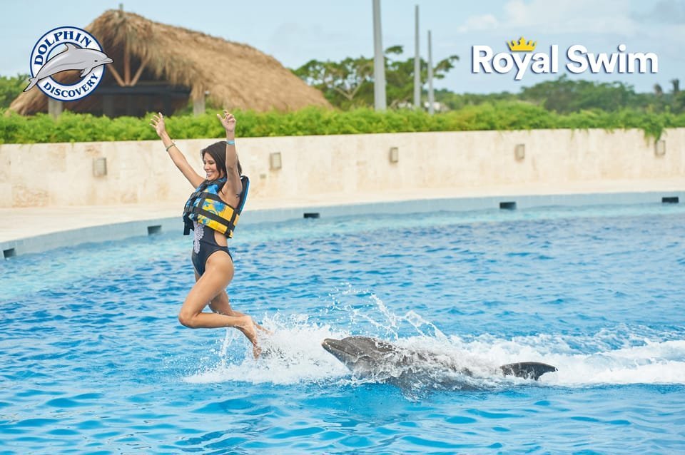 Punta Cana: Swim with Dolphins in the Pool – תמונה 2