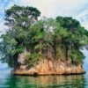 Sabana de la Mar:  Los Haitises ATV Ride & Hiking - Image 6