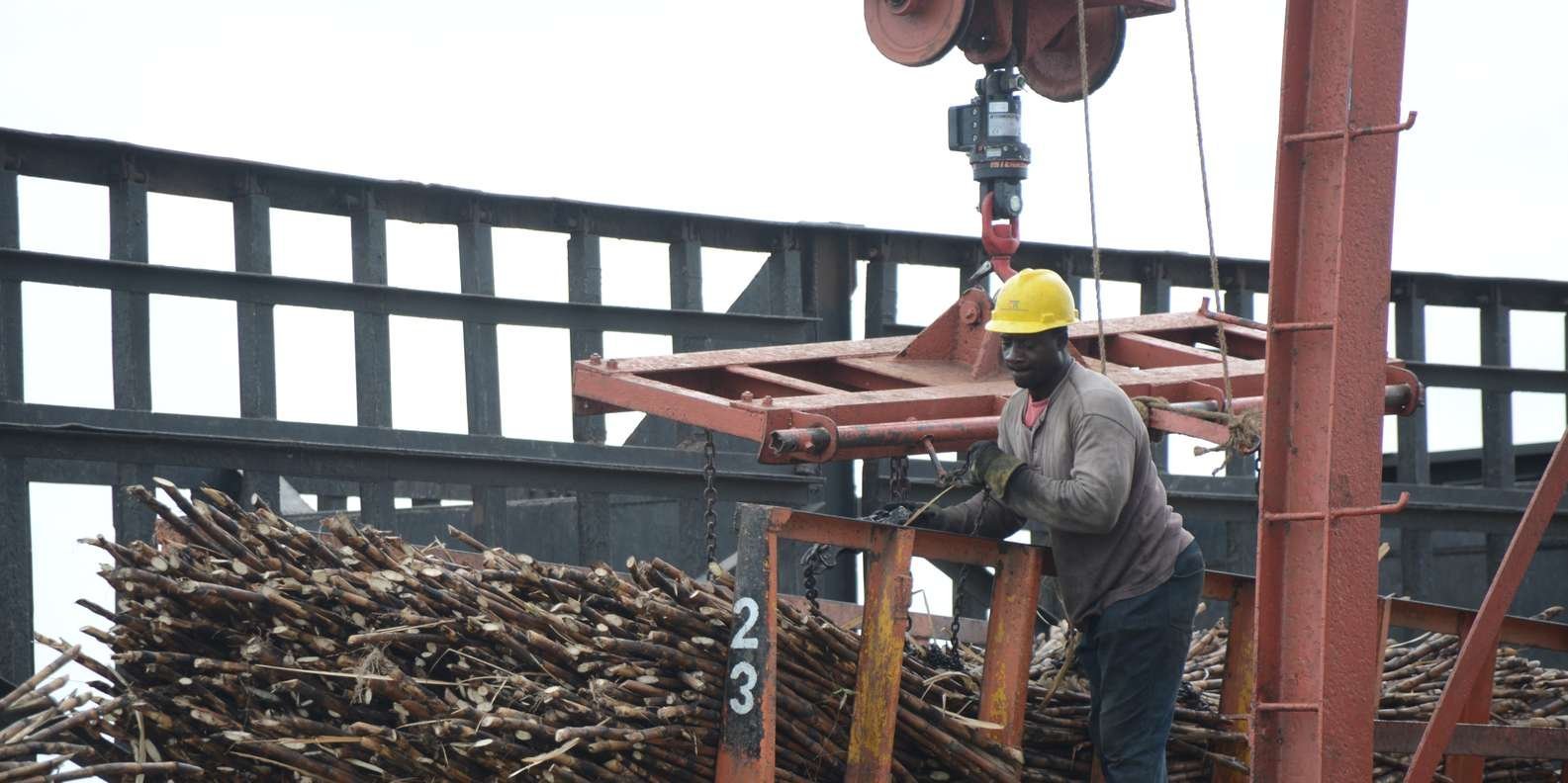Full day buggy Safari with lunch and Chavon River Tour - Image 12