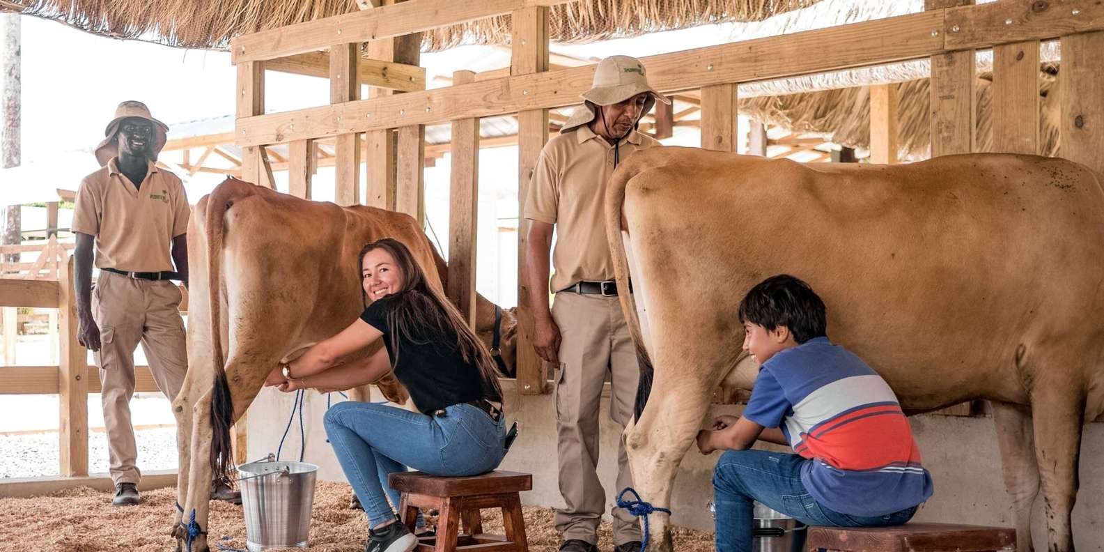 Punta Cana: Xploration Animal Park Bus Tour with Encounters - Image 14