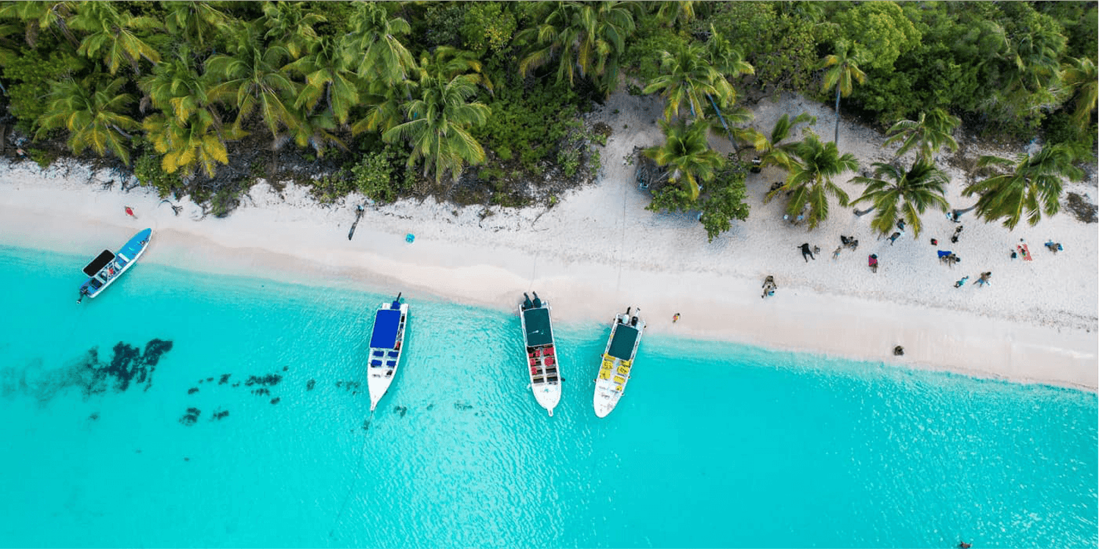 Saona Island All Inclusive Tour - Imatge 5