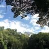 Santo Domingo: Natural Treasures of the City – Image 4