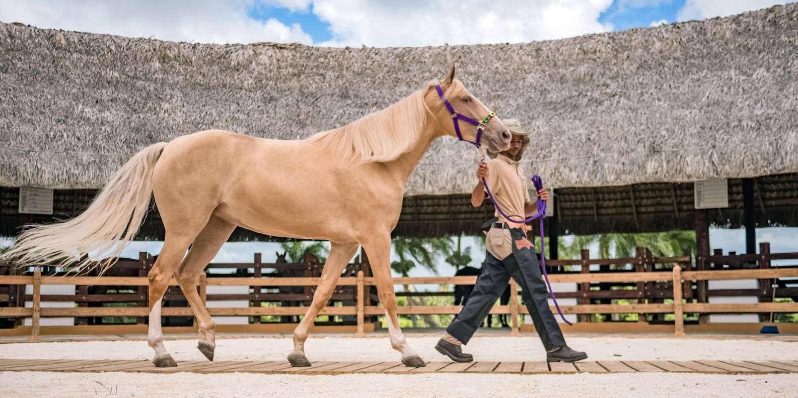 Punta Cana: Xploration Animal Park Bus Tour with Encounters - Image 4