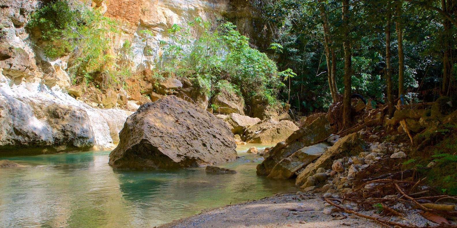 Samaná Adventure: Rincón Beach & Cayo Levantado Experience - Image 6