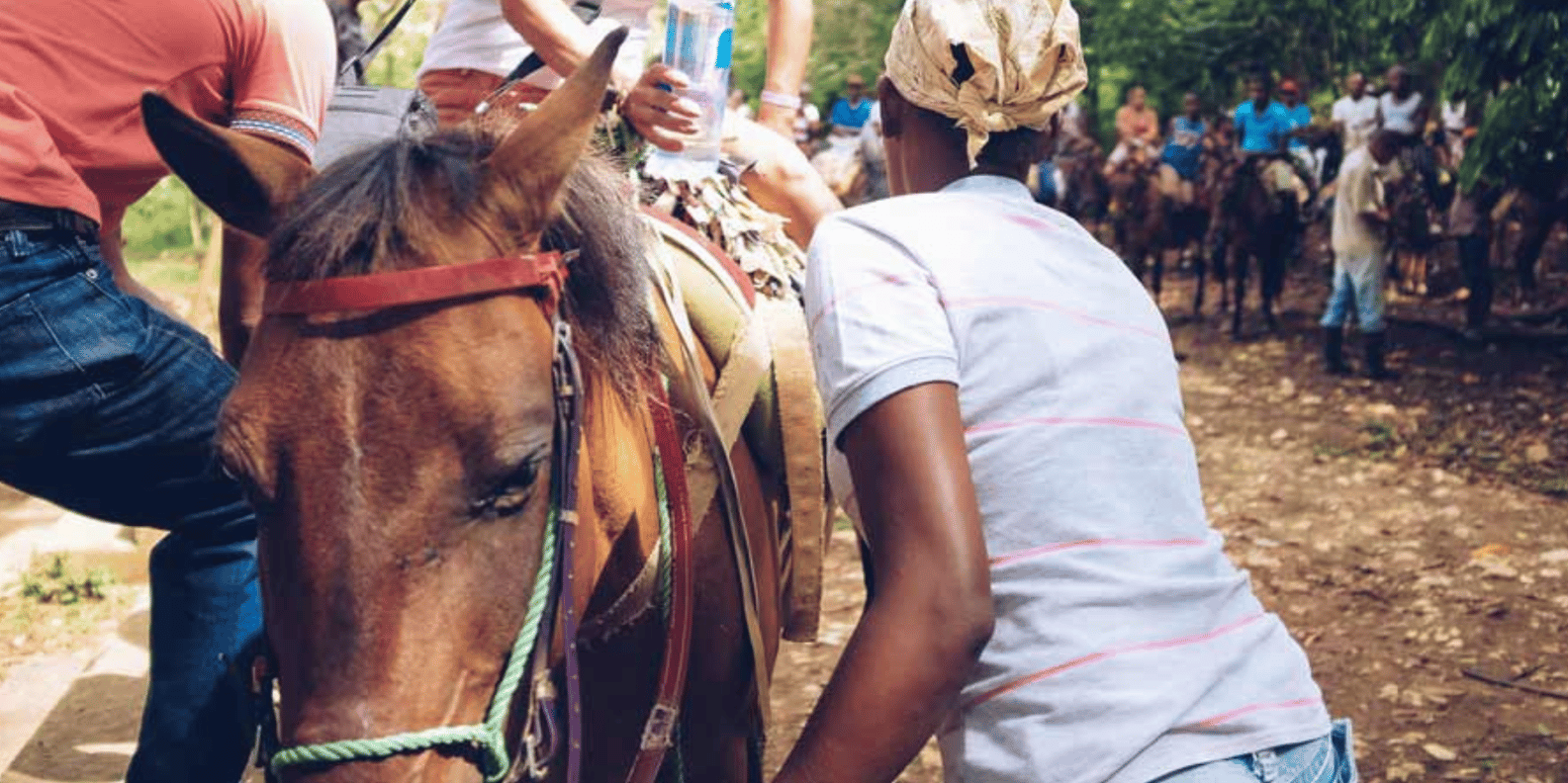 Samana: Full day Samana Amazing tour Punta Cana - Image 6