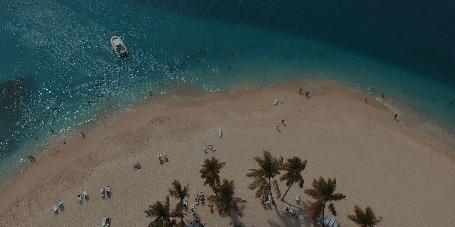 Punta Cana: Samana Bay Full-Day Experience - Image 6