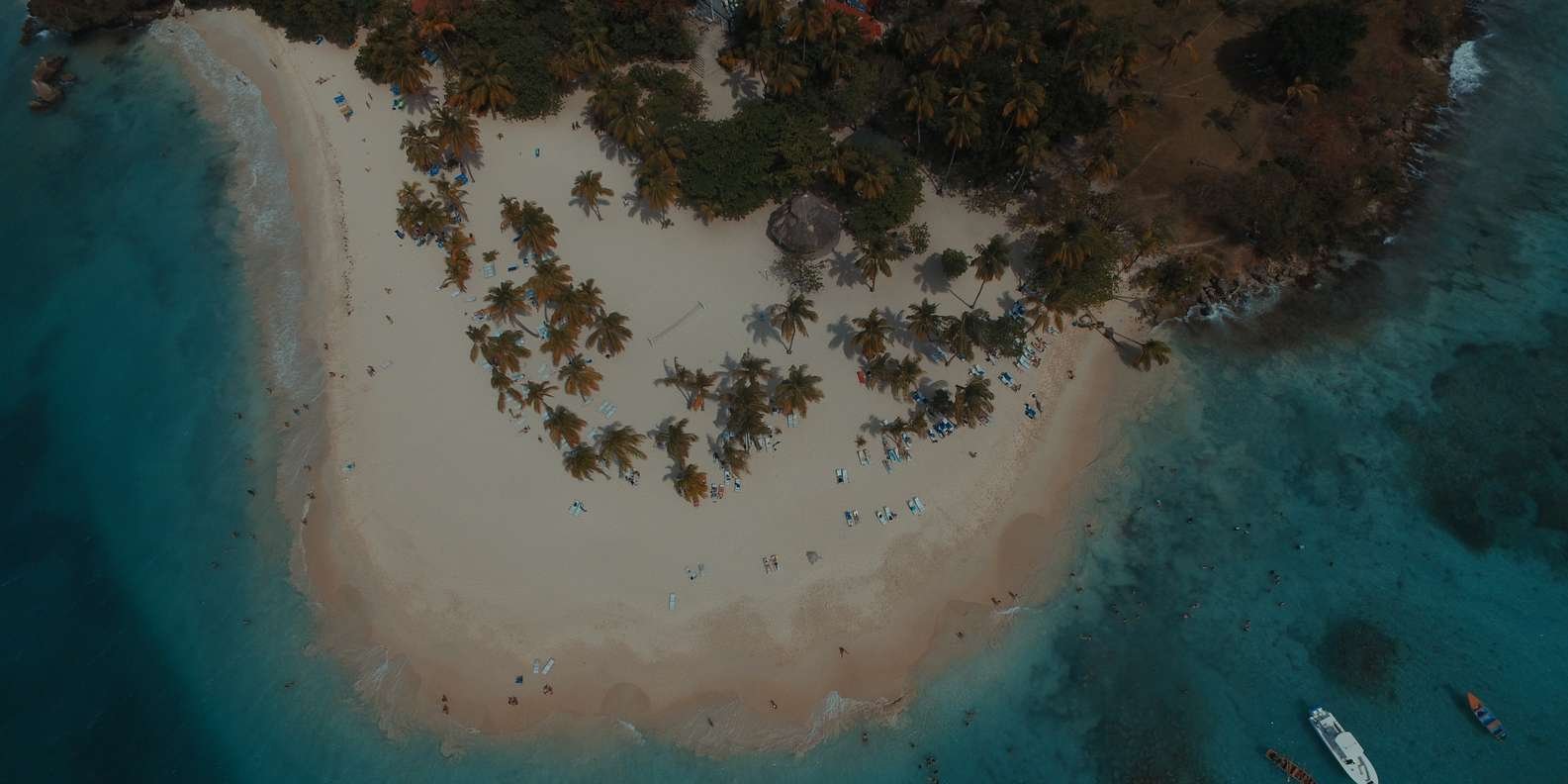 Punta Cana: Samana Bay Full-Day Experience - Image 7