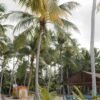 Saona Island Private: Speedboat Tour from Punta Cana - Image 6
