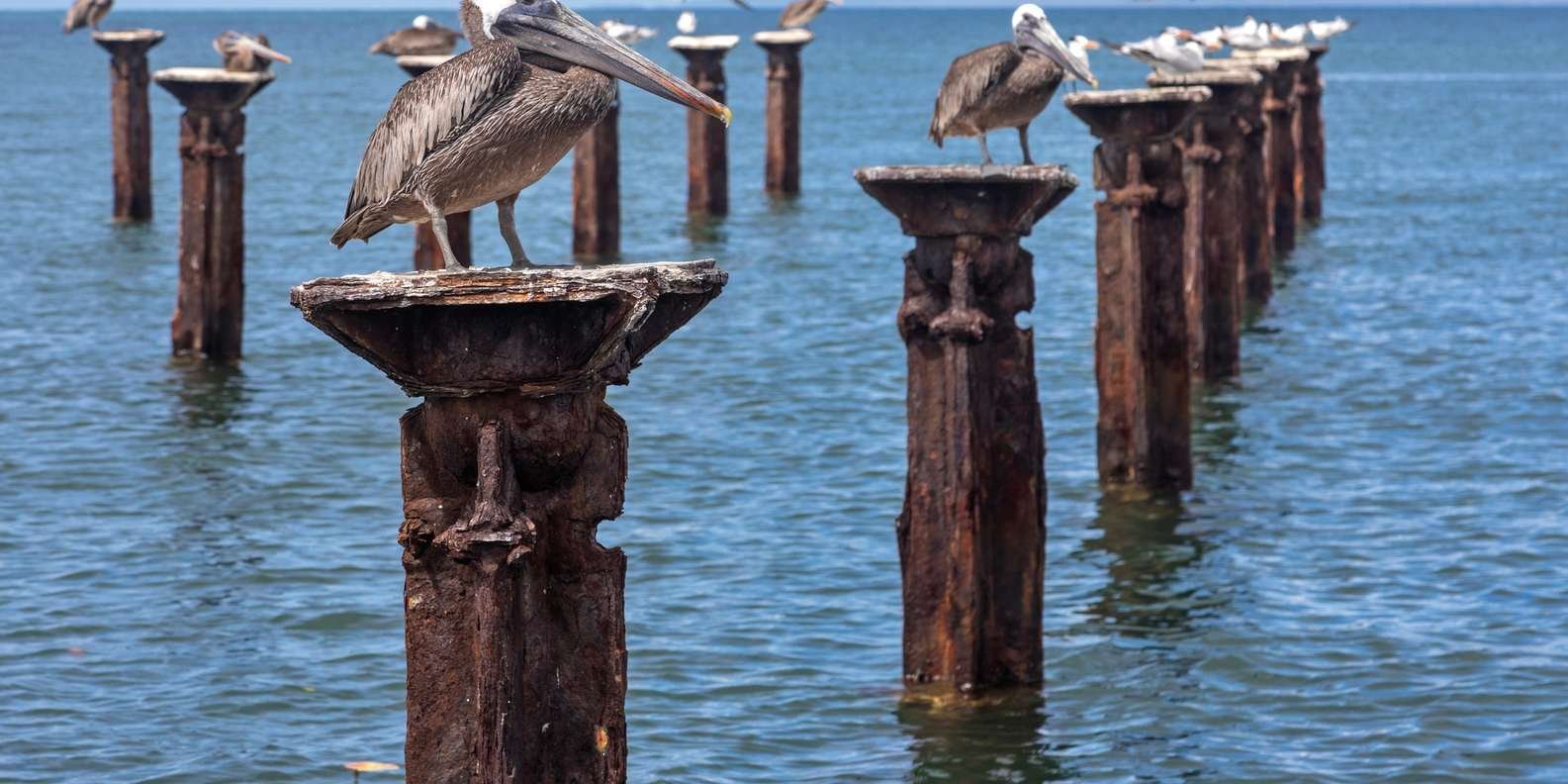 From Punta Cana: Los Haitises and Redonda Mountain Day Trip - Image 8
