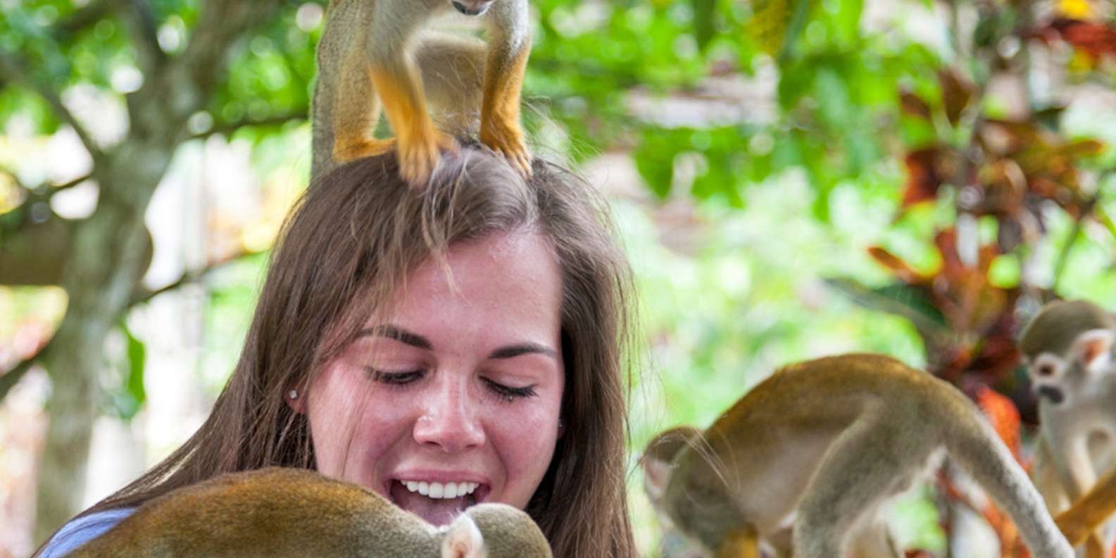 Punta Cana: Triple Jungle Adventure Park Tour with Tastings - Image 8