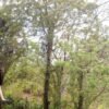⁦Puerto Plata ATV N Zip Adventure | Shore Excursion & Hotel⁩ - الصورة ⁦8⁩