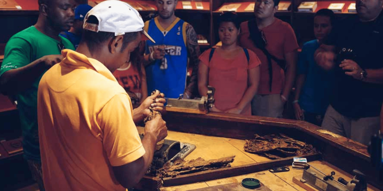 Samana: Full day Samana Amazing tour Punta Cana - Image 8