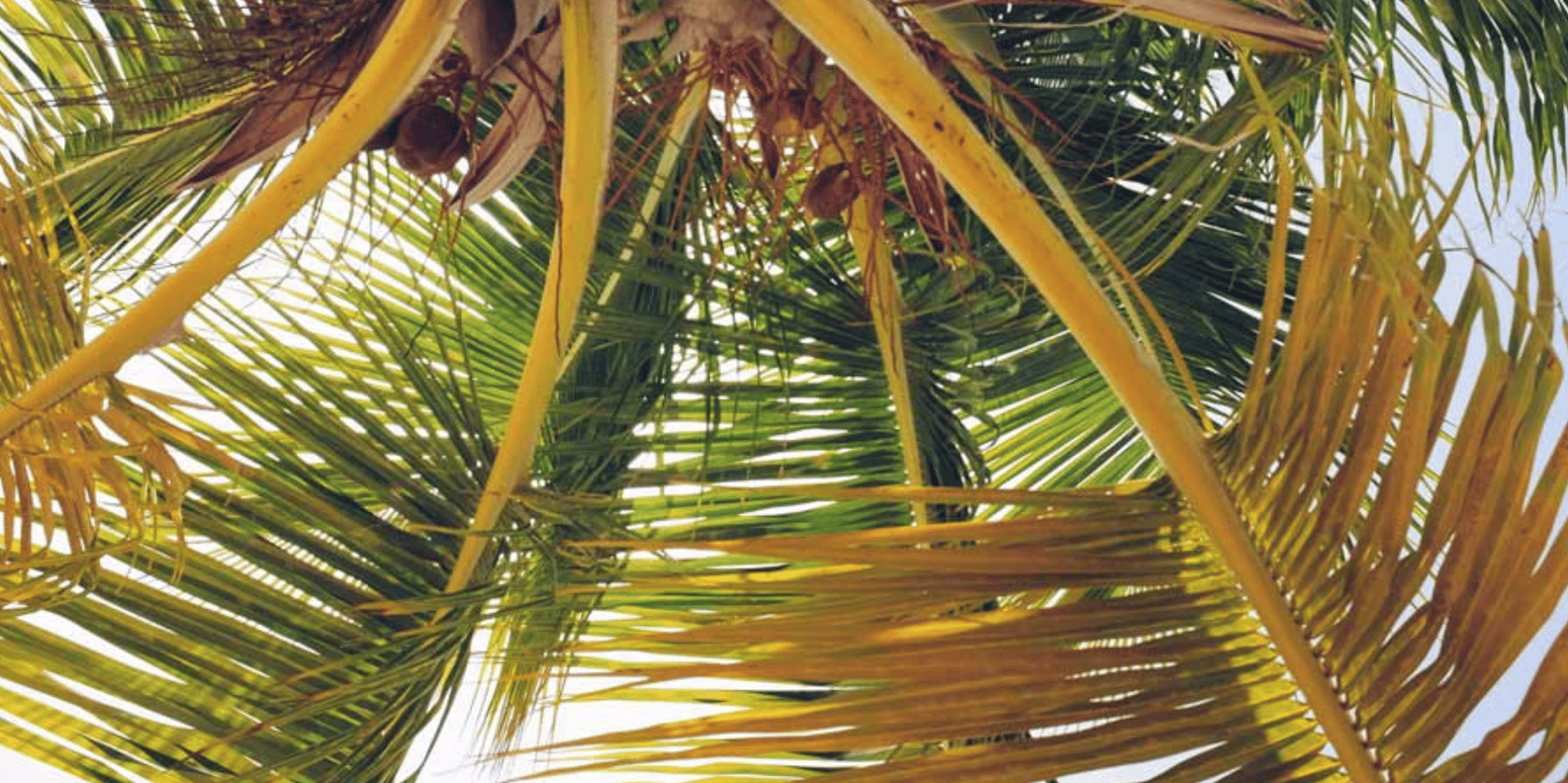 Samana: Full day Samana Amazing tour Punta Cana - Image 10