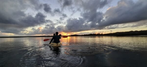 Caño Hondo : Los Haitises Sunrise or Sunset Private Kayak Excursion with Locals