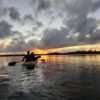 ⁦Caño Hondo : Los Haitises Sunrise or Sunset Private Kayak Excursion with Locals⁩ – תמונה ⁦48⁩