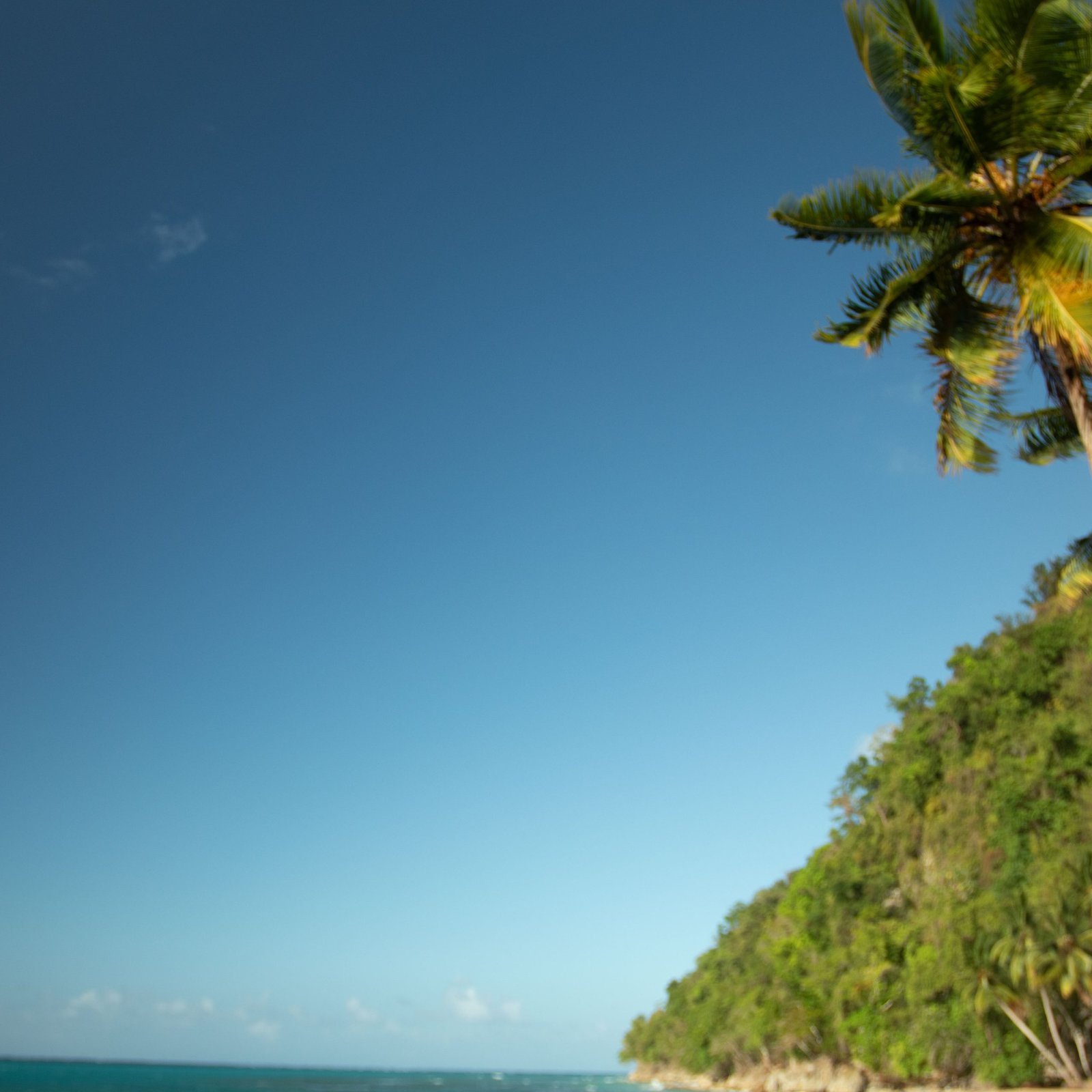 Complete Samaná Tour: Jackson Beach – Hiking, River Ride, and Snorkeling from La Majagua – תמונה 2