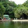 ⁦Caño Hondo : Los Haitises Sunrise or Sunset Private Kayak Excursion with Locals⁩ – תמונה ⁦23⁩