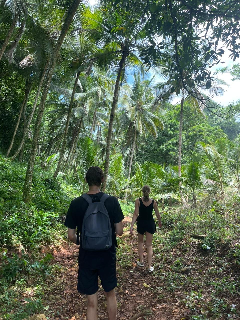 Sabana de la Mar: Private Los Haitises Hike and Kayak - Image 12