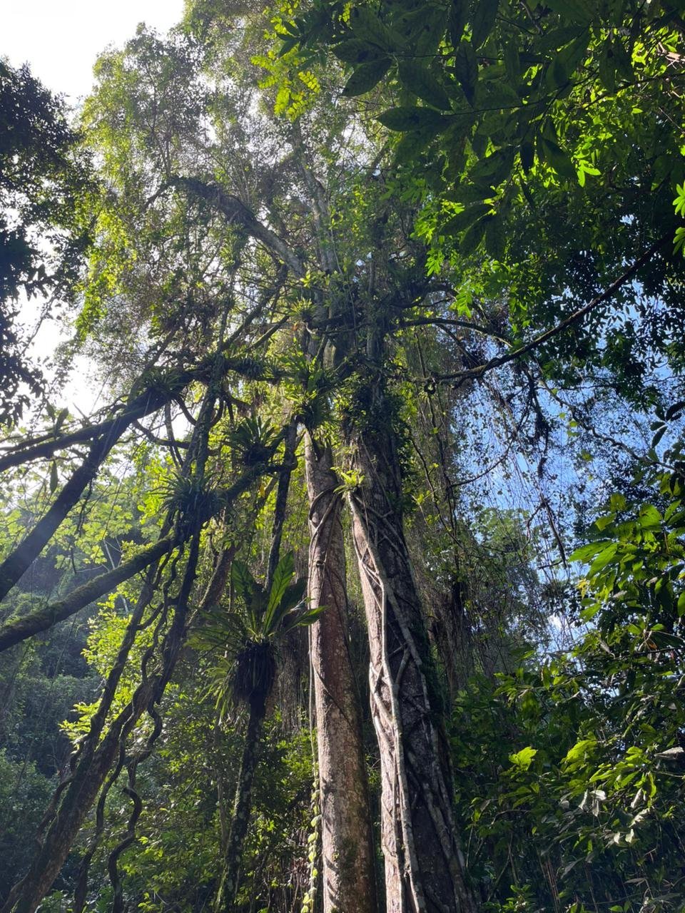 Sabana de la Mar: Private Los Haitises Hike and Kayak - Image 7